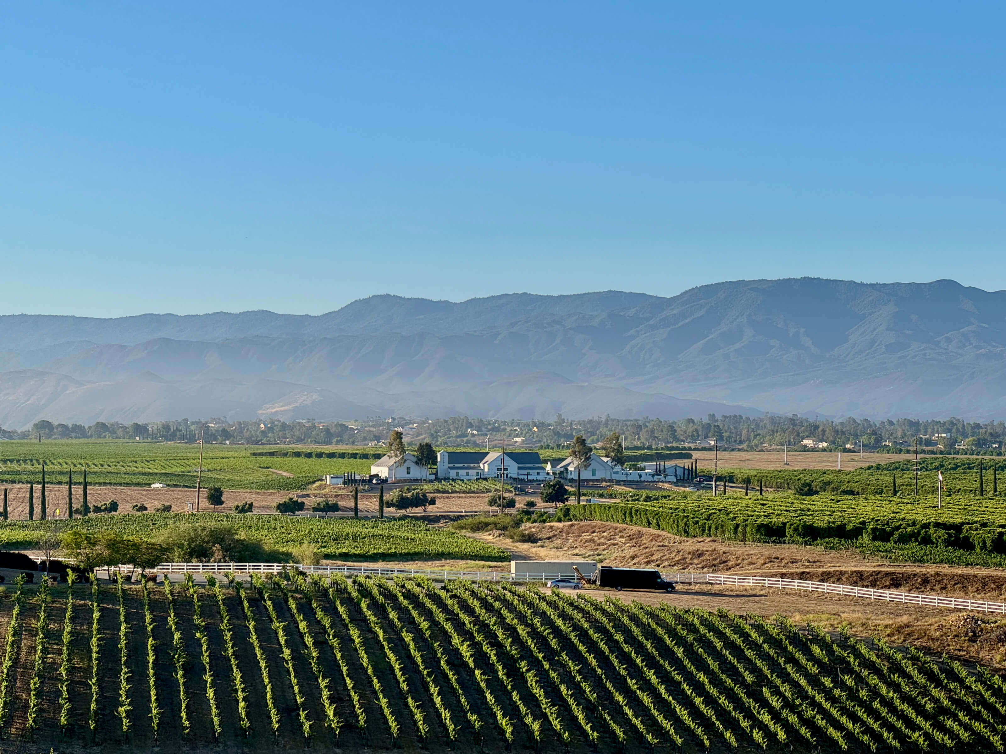 A winery building in the middle of vineyards.
