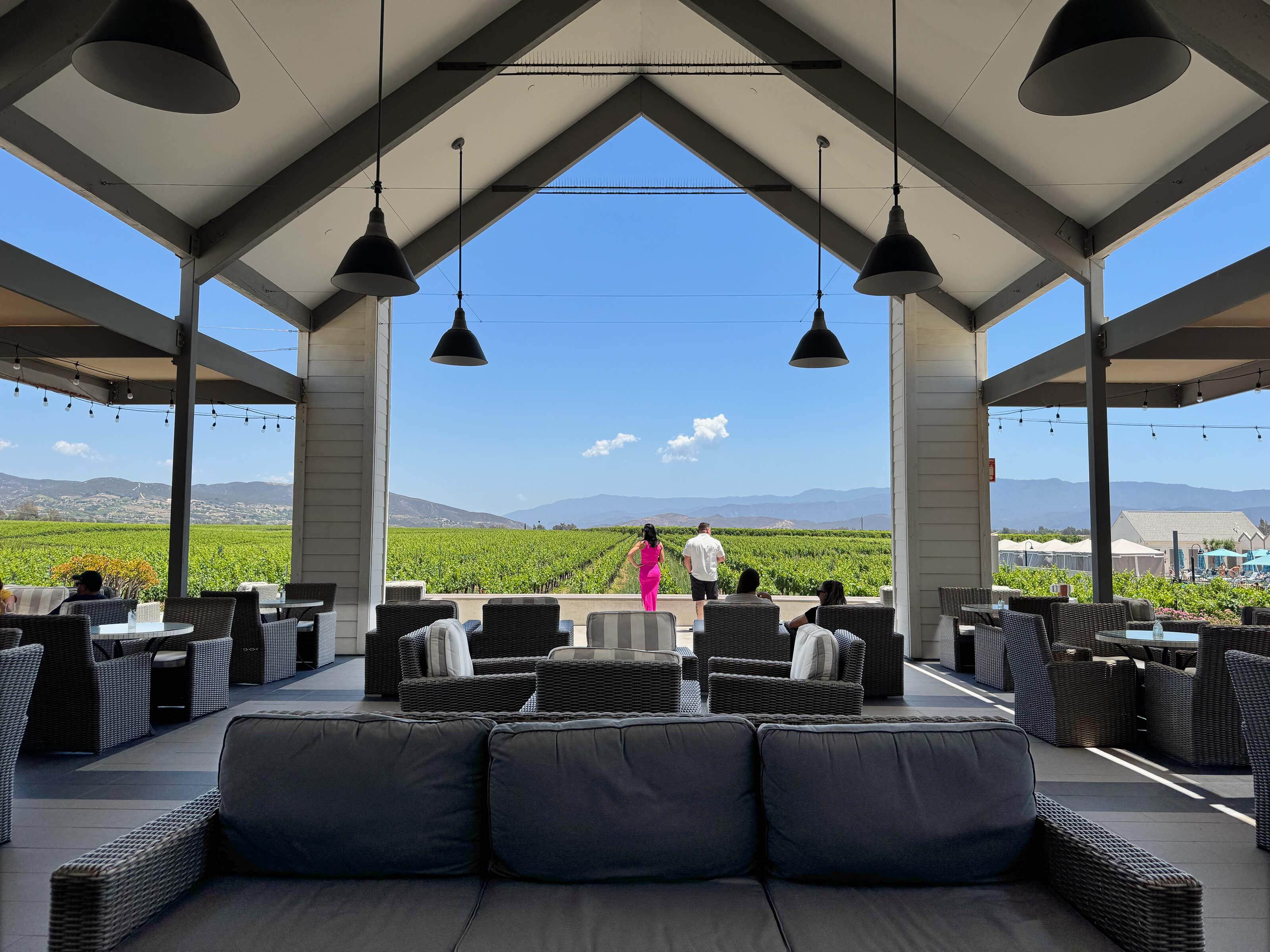 Bottaia Winery: A Taste of Italy with a View to Match