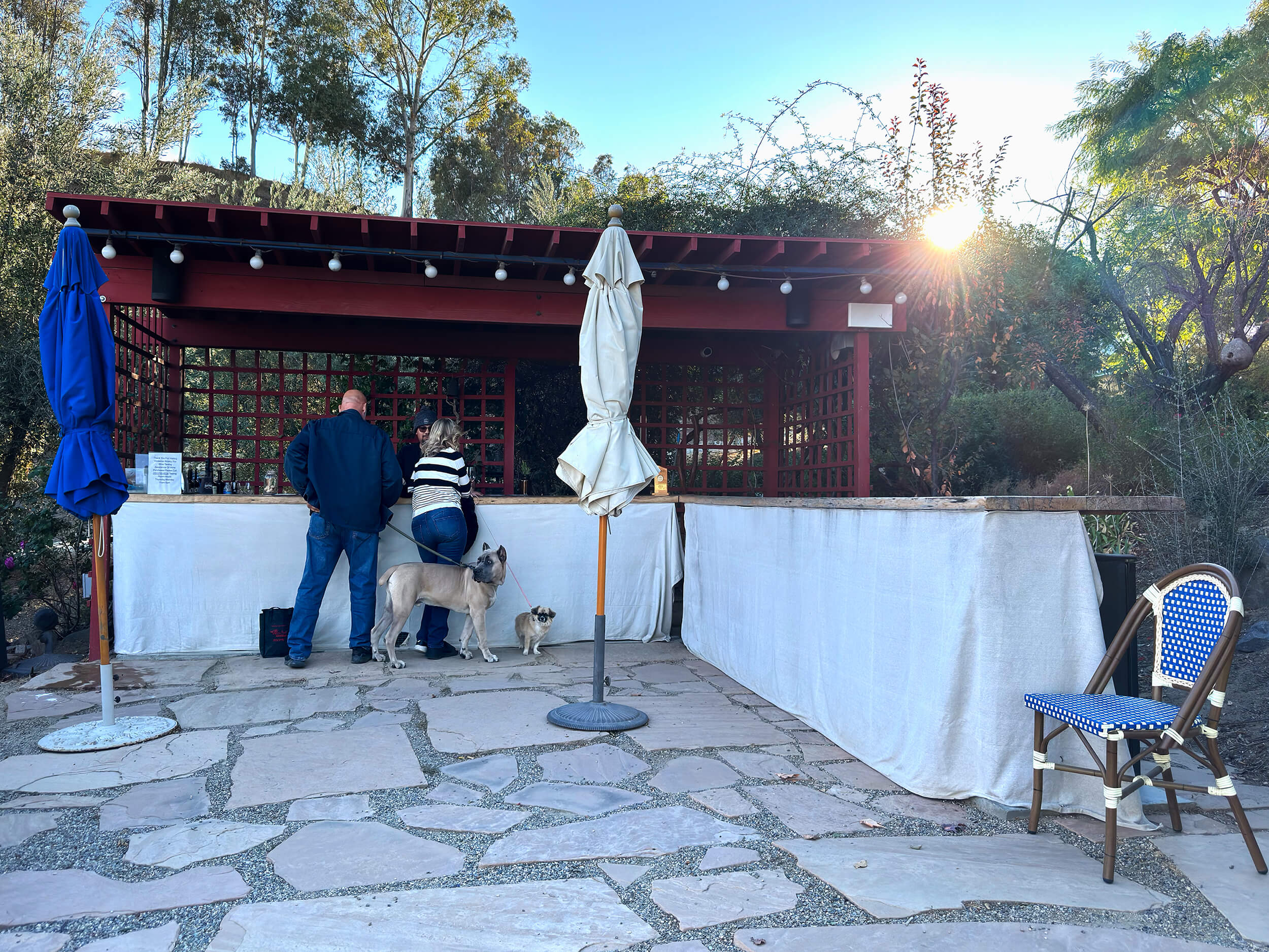 Vindemia Winery Soars with Fruit Forward Wines and Hot Air Balloons