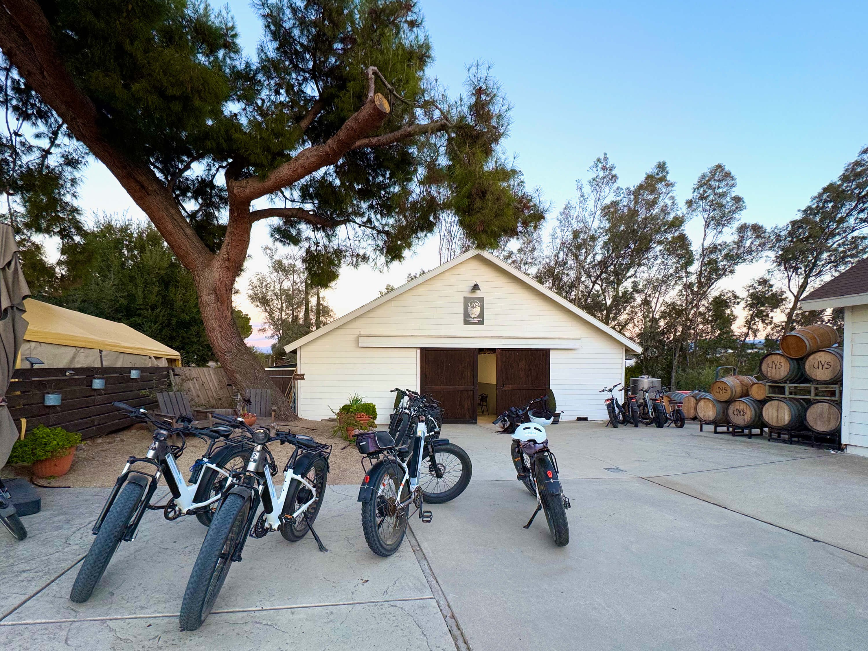 A white barn under a tree and e-bikes in the driveway.