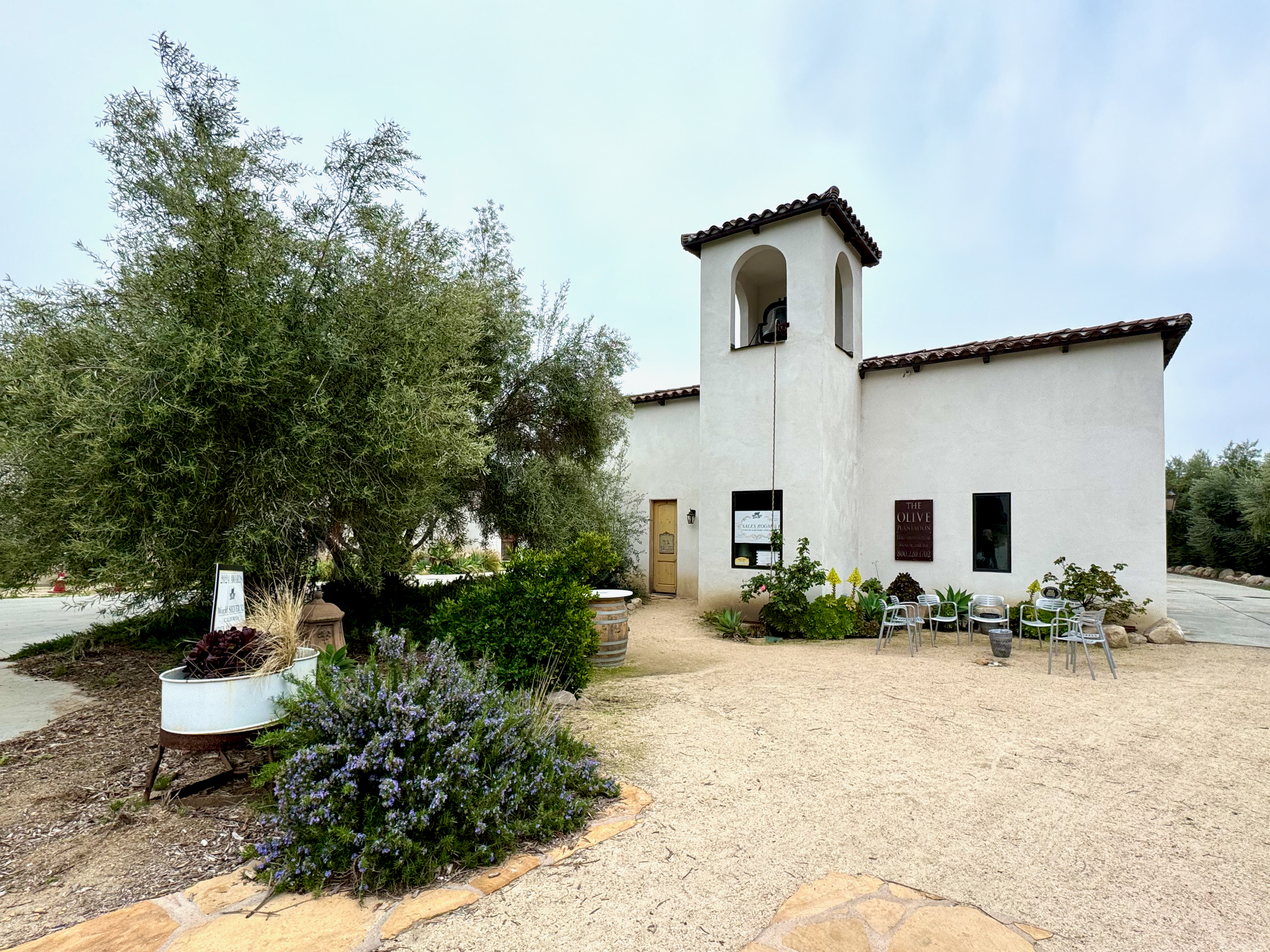 The Olive Oil Plantation: Award-Winning Olive Oil in the Heart of Wine Country